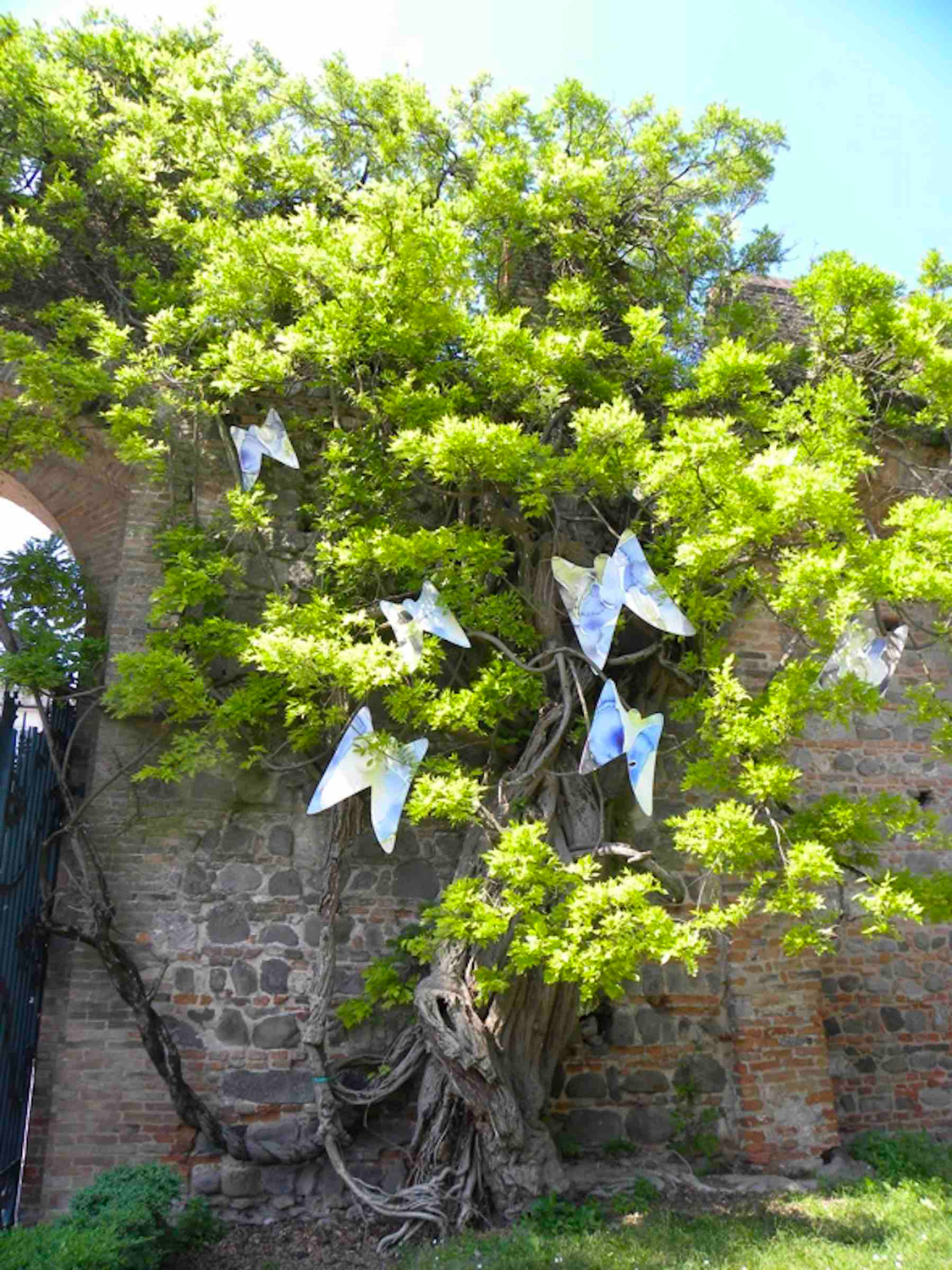 Este, Padova 2012 - Parco del Castello<br> EsteGardenArt, Farfalle d'acqua, sagomati in polionda